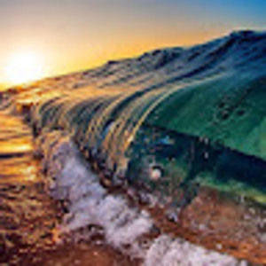 Meet your Posher, Aly